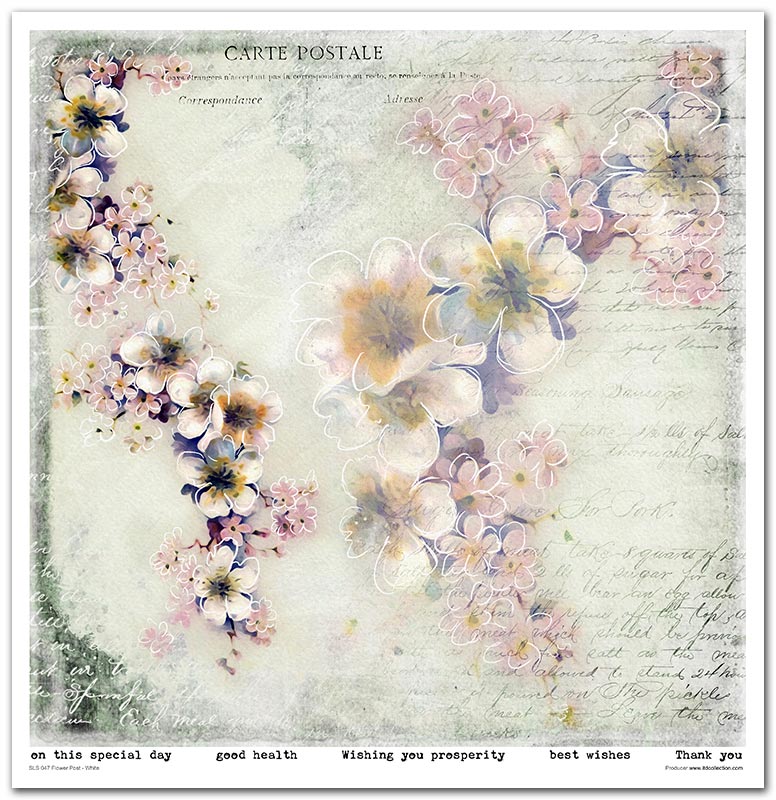 Scrapbook Papierblock 12,2"x12,6" - Flower post white - Bastelschachtel