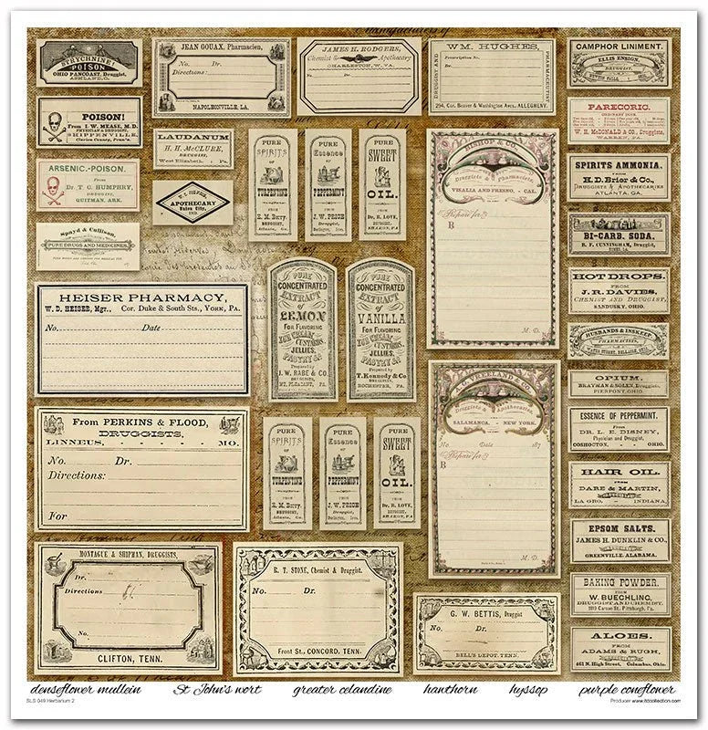 Scrapbook Papierblock 12,2"x12,6" - Herbarium - Bastelschachtel