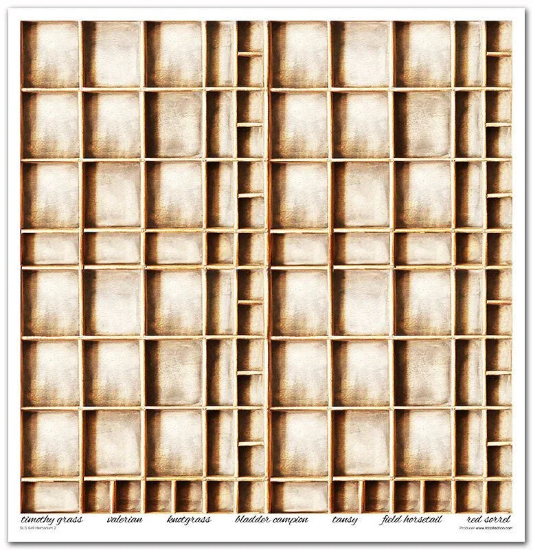 Scrapbook Papierblock 12,2"x12,6" - Herbarium - Bastelschachtel