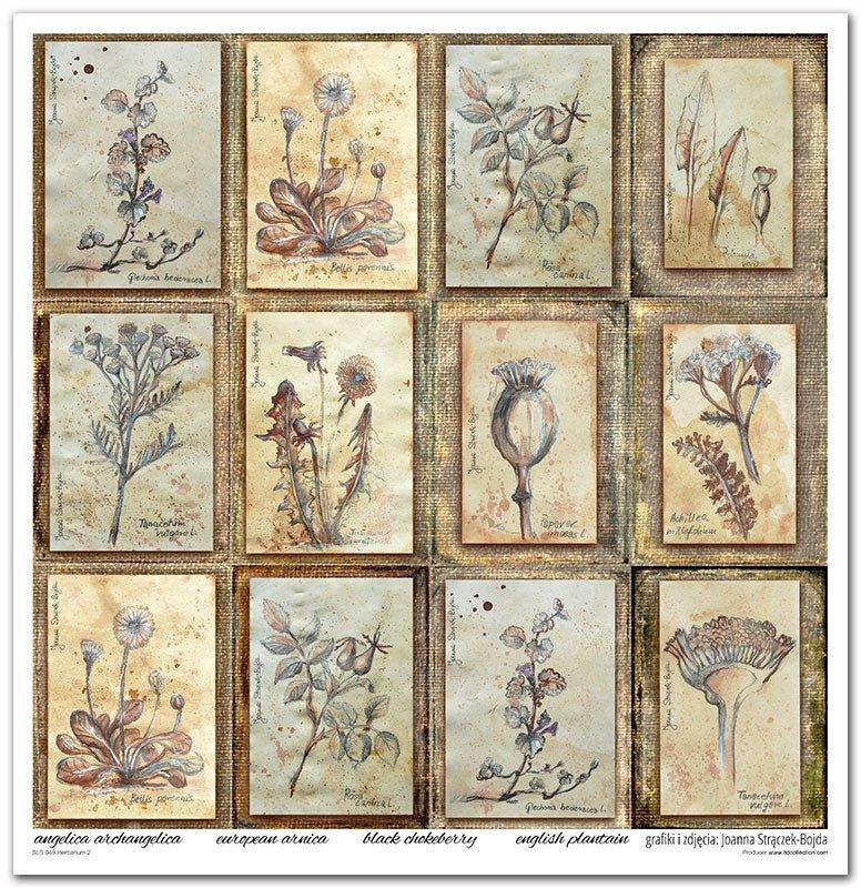 Scrapbook Papierblock 12,2"x12,6" - Herbarium - Bastelschachtel