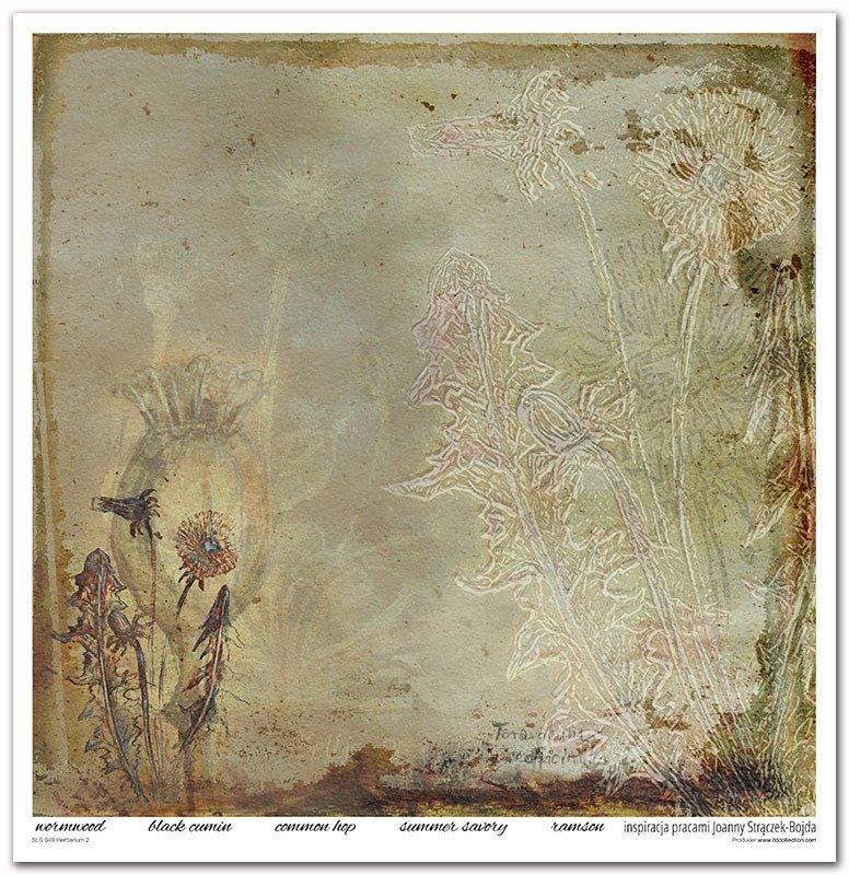 Scrapbook Papierblock 12,2"x12,6" - Herbarium - Bastelschachtel