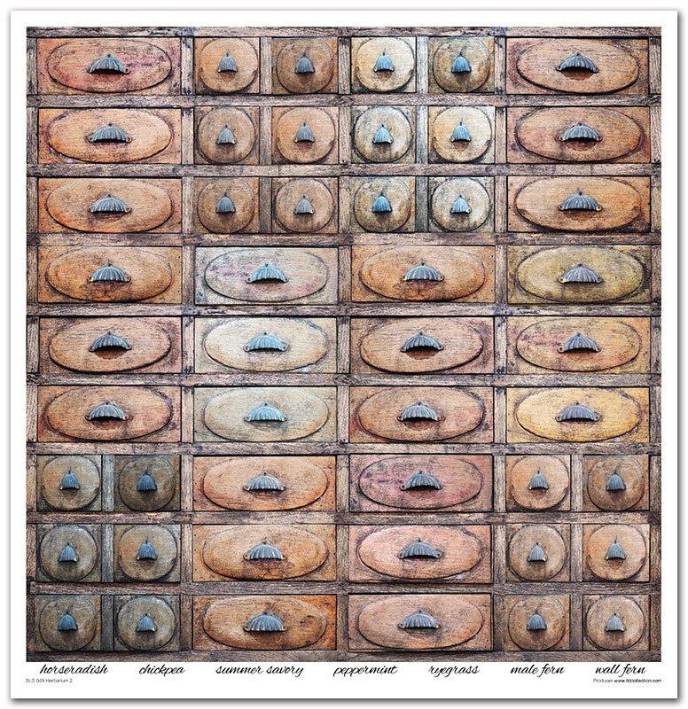 Scrapbook Papierblock 12,2"x12,6" - Herbarium - Bastelschachtel