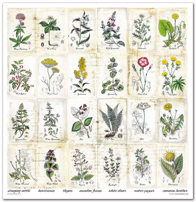 Scrapbook Papierblock 12,2"x12,6" - Herbarium - Bastelschachtel - Scrapbook Papierblock 12,2"x12,6" - Herbarium