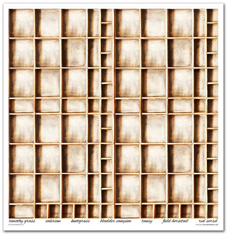 Scrapbook Papierblock 12,2"x12,6" - Herbarium - Bastelschachtel - Scrapbook Papierblock 12,2"x12,6" - Herbarium