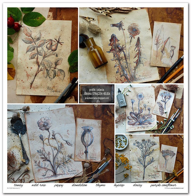 Scrapbook Papierblock 12,2"x12,6" - Herbarium - Bastelschachtel - Scrapbook Papierblock 12,2"x12,6" - Herbarium