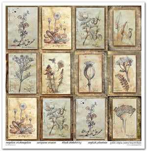 Scrapbook Papierblock 12,2"x12,6" - Herbarium - Bastelschachtel - Scrapbook Papierblock 12,2"x12,6" - Herbarium