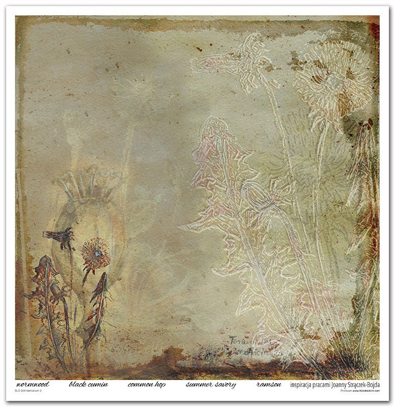 Scrapbook Papierblock 12,2"x12,6" - Herbarium - Bastelschachtel - Scrapbook Papierblock 12,2"x12,6" - Herbarium