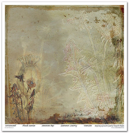 Scrapbook Papierblock 12,2"x12,6" - Herbarium - Bastelschachtel - Scrapbook Papierblock 12,2"x12,6" - Herbarium