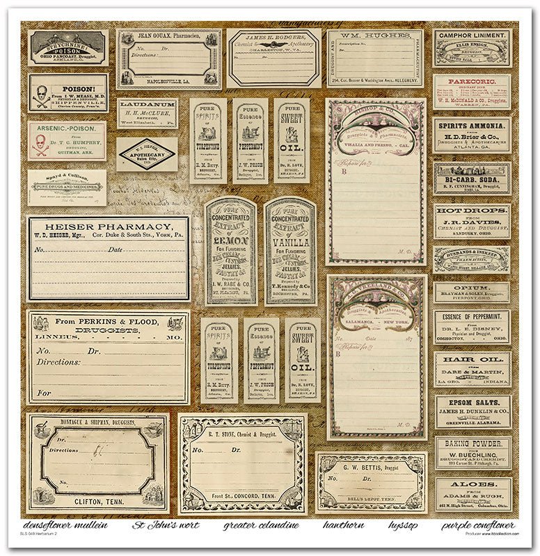 Scrapbook Papierblock 12,2"x12,6" - Herbarium - Bastelschachtel - Scrapbook Papierblock 12,2"x12,6" - Herbarium