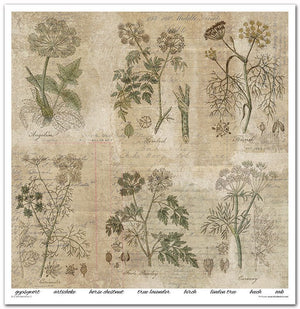 Scrapbook Papierblock 12,2"x12,6" - Herbarium - Bastelschachtel - Scrapbook Papierblock 12,2"x12,6" - Herbarium