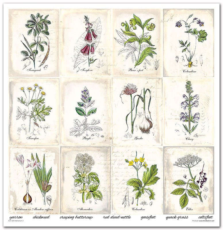 Scrapbook Papierblock 12,2"x12,6" - Herbarium - Bastelschachtel - Scrapbook Papierblock 12,2"x12,6" - Herbarium
