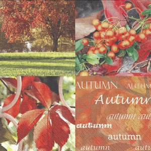 Serviette - Autumn - Bastelschachtel - Serviette - Autumn