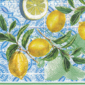 Serviette - Citrus limon - Bastelschachtel - Serviette - Citrus limon