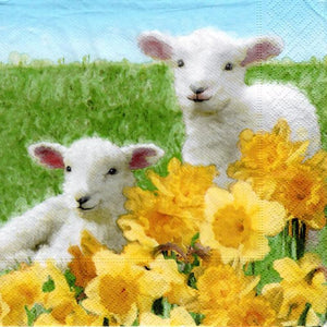Serviette - Cute lambs - Bastelschachtel - Serviette - Cute lambs