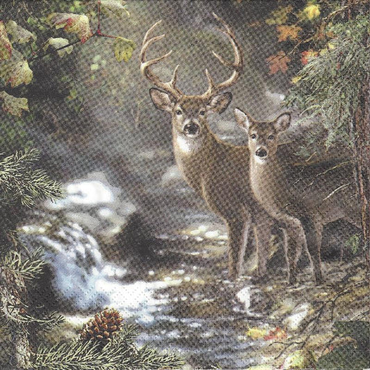 Serviette - Deers on a Creek - Bastelschachtel - Serviette - Deers on a Creek