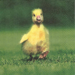 Serviette - Easter duck - Bastelschachtel - Serviette - Easter duck