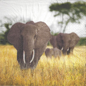 Serviette - Elephant family - Bastelschachtel - Serviette - Elephant family