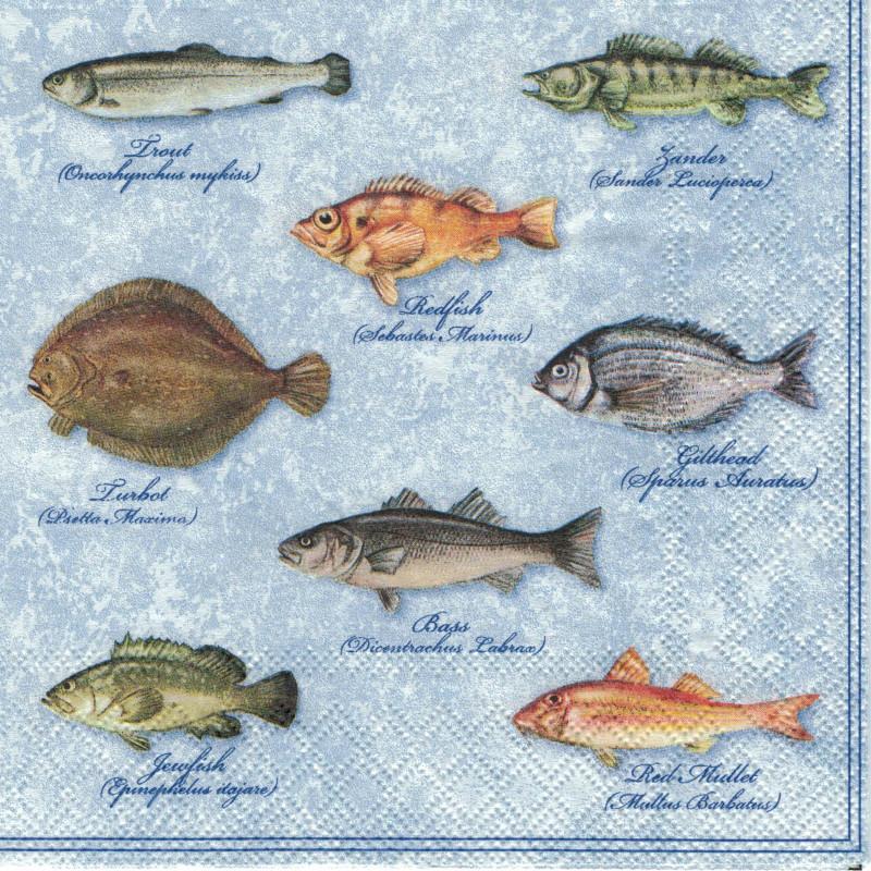 Serviette - Fishes - Bastelschachtel - Serviette - Fishes