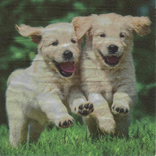 Serviette - Happy puppies - Bastelschachtel - Serviette - Happy puppies