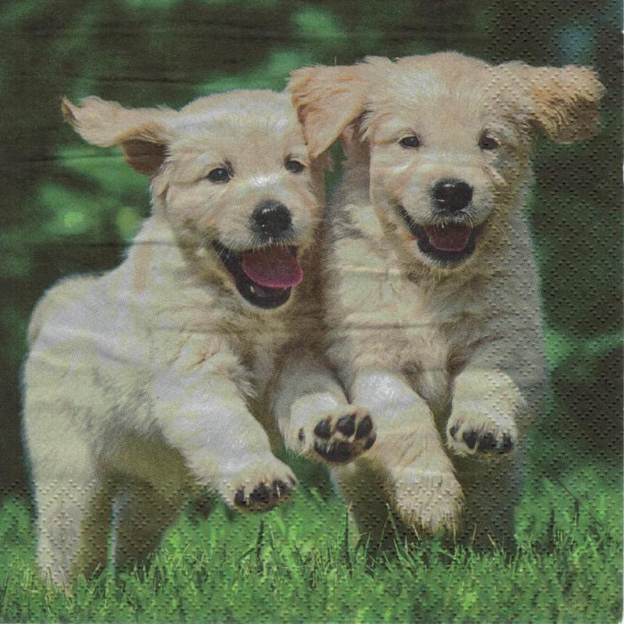 Serviette - Happy puppies