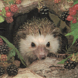 Serviette - Hedgehog - Bastelschachtel - Serviette - Hedgehog