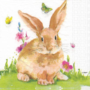 Serviette - Mr. Rabbit - Bastelschachtel - Serviette - Mr. Rabbit