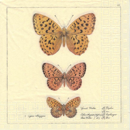 Serviette - Papillons antiques - Bastelschachtel - Serviette - Papillons antiques
