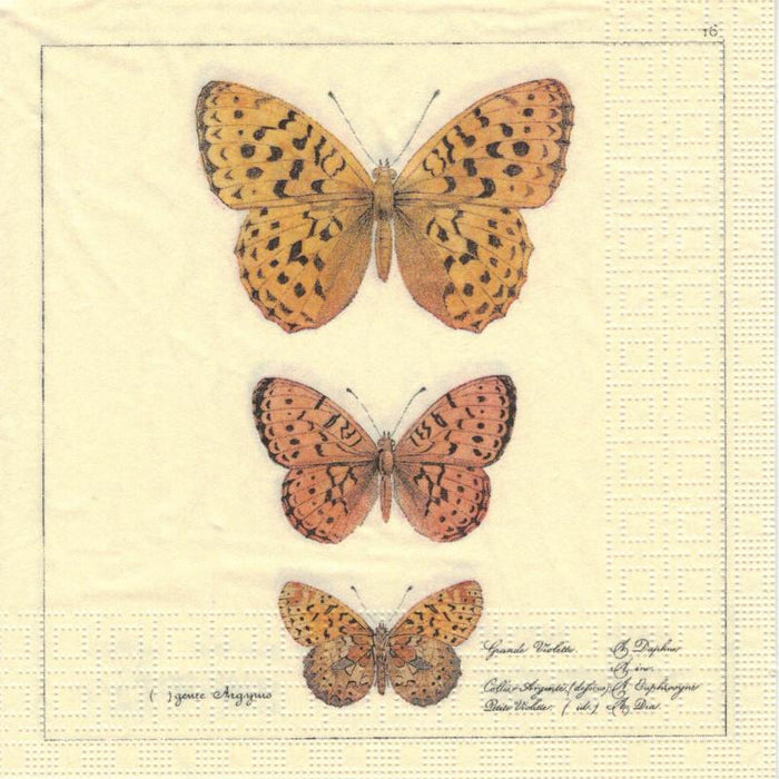 Serviette - Papillons antiques