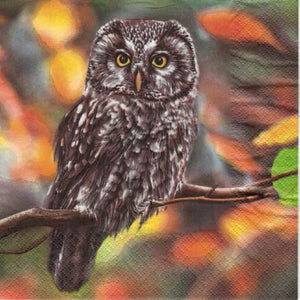 Serviette - Pensive owl - Bastelschachtel - Serviette - Pensive owl