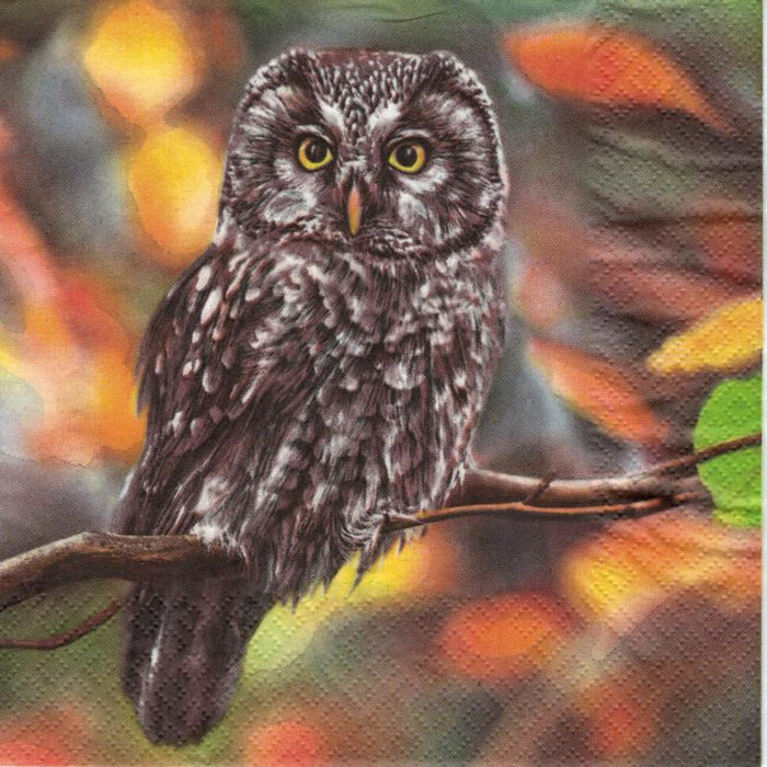 Serviette - Pensive owl