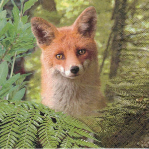 Serviette - Ricky the fox - Bastelschachtel - Serviette - Ricky the fox