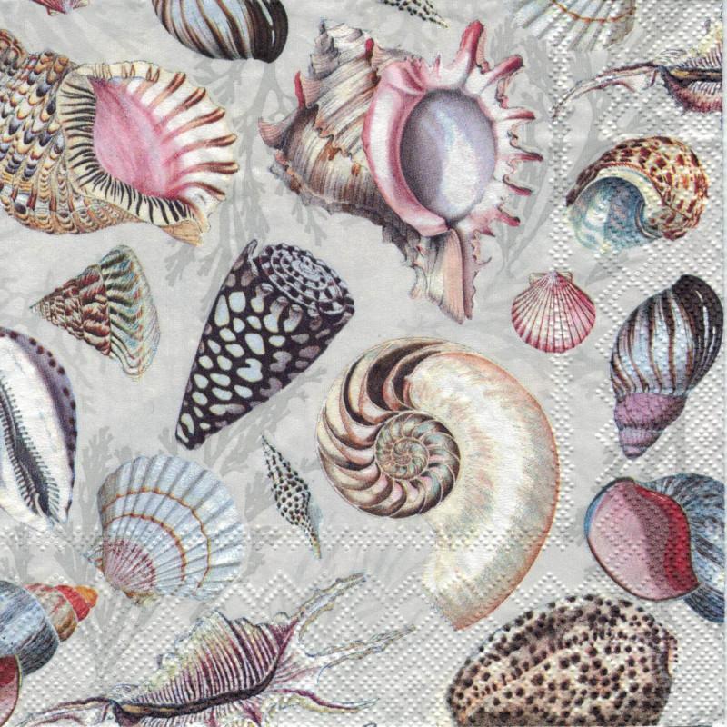 Serviette - Shells of the sea - Bastelschachtel - Serviette - Shells of the sea