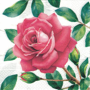 Serviette - Special rose - Bastelschachtel - Serviette - Special rose