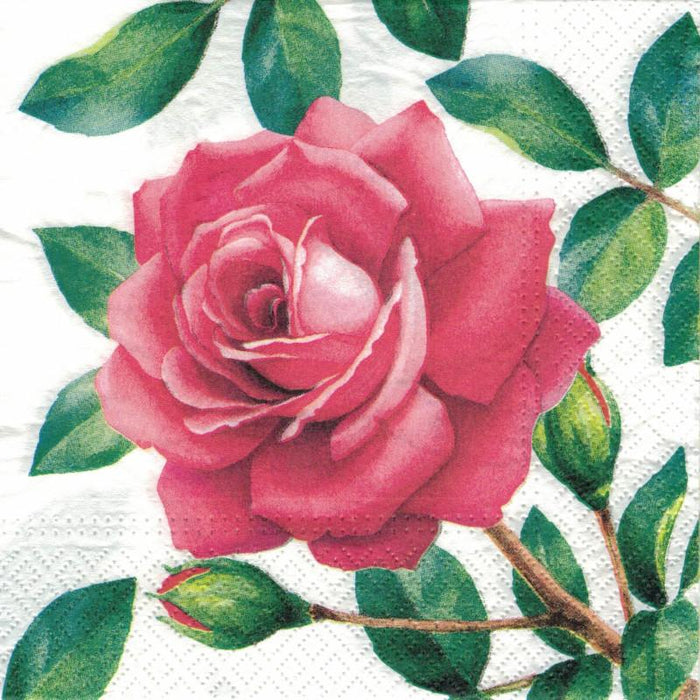 Serviette - Special rose