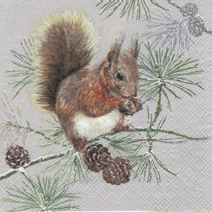 Serviette - Squirrel in winter - Bastelschachtel - Serviette - Squirrel in winter