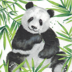 Serviette - Tropical panda - Bastelschachtel - Serviette - Tropical panda