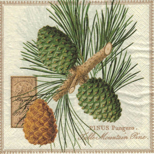 Serviette - Mountain pine - Bastelschachtel - Serviette - Mountain pine