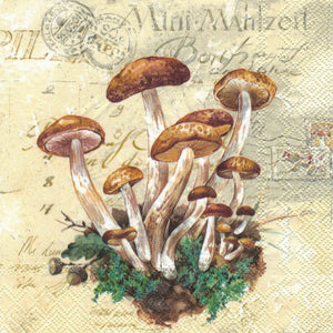 Serviette - Mushrooms harvest - Bastelschachtel - Serviette - Mushrooms harvest