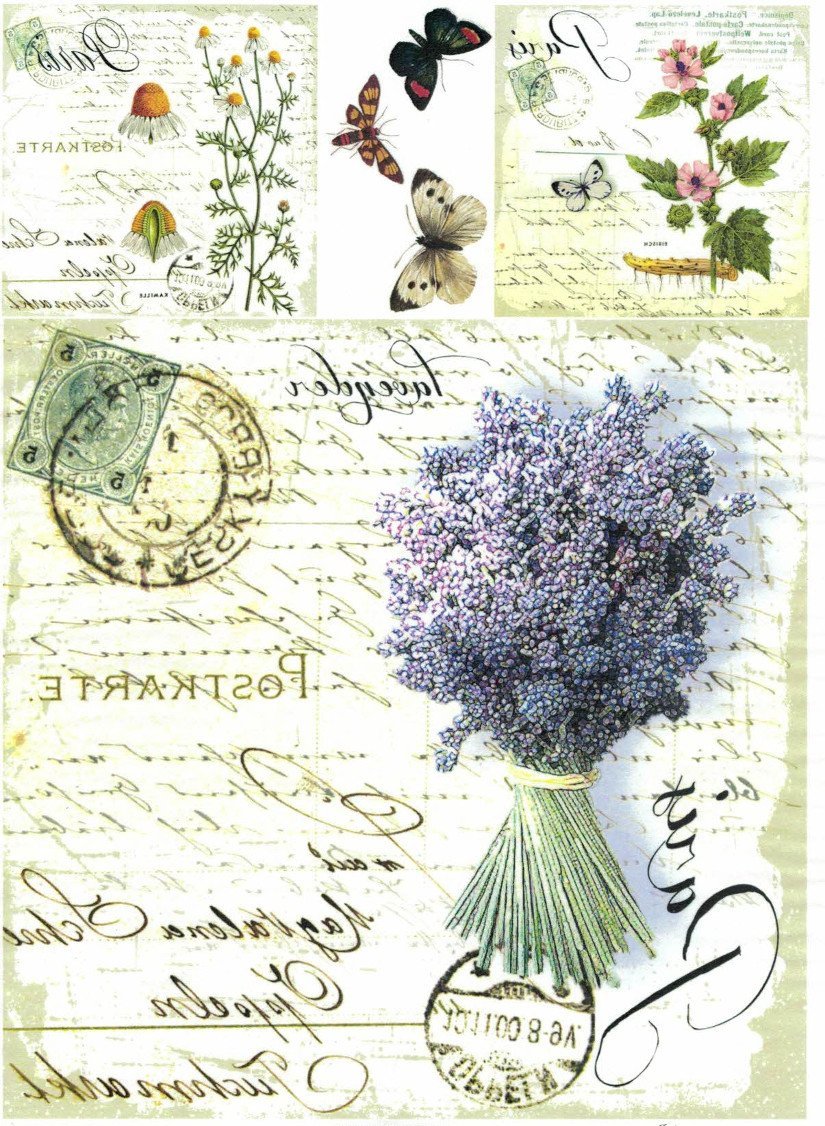 Transferpapier mit Druck, soft A4 - Lavender - Bastelschachtel - Transferpapier mit Druck, soft A4 - Lavender