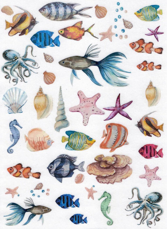 Motiv Transparentpapier A4 - Colorful fishes - Bastelschachtel - Motiv Transparentpapier A4 - Colorful fishes