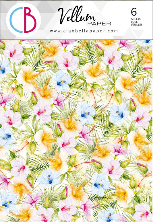 Vellum Motiv Transparentpapier Set - Summer breeze - Bastelschachtel - Vellum Motiv Transparentpapier Set - Summer breeze