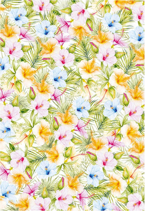 Vellum Motiv Transparentpapier Set - Summer breeze - Bastelschachtel - Vellum Motiv Transparentpapier Set - Summer breeze