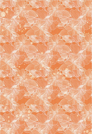 Vellum Motiv Transparentpapier Set - Summer breeze - Bastelschachtel - Vellum Motiv Transparentpapier Set - Summer breeze